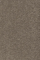 Ковролин AW Vivendi Punch 37 фото 1 | FLOORDEALER